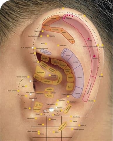 Aplicação auriculoterapia em Guarulhos